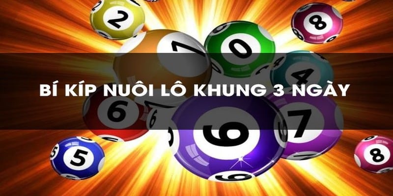 nuôi lô khung 3 ngày tuyệt đối
